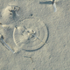 A scratch circle formed on a beach on San Salvador Island in the Bahamas.
